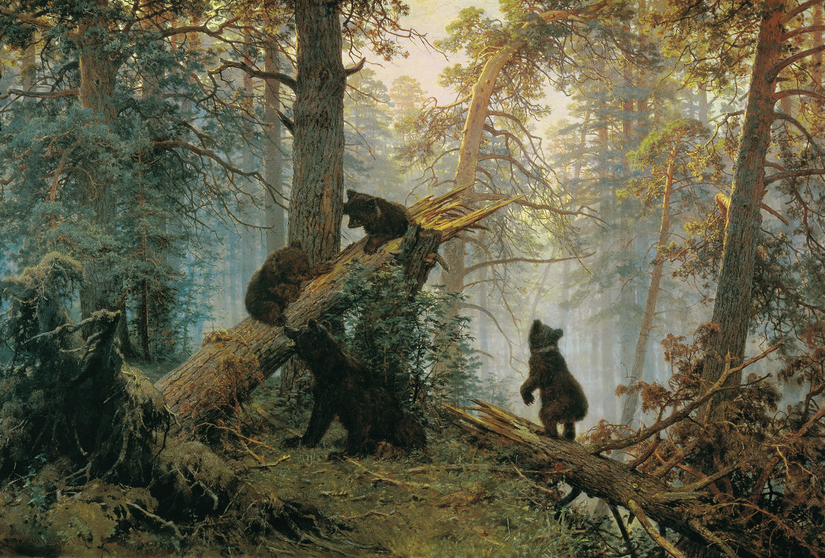Papier peint panoramique Matin dans la forêt de pins - Forêts & Feuillages