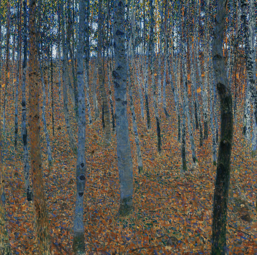 Papier peint panoramique Hêtraie - Forêts & Feuillages