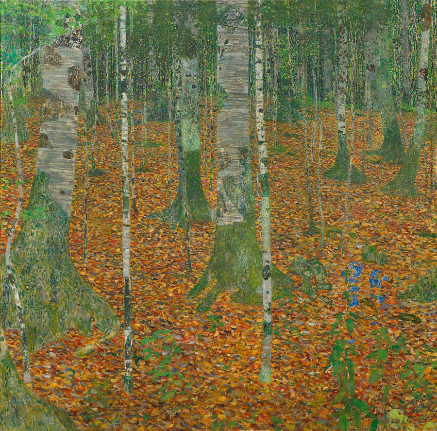 Papier peint panoramique Forêt de bouleaux - Forêts & Feuillages