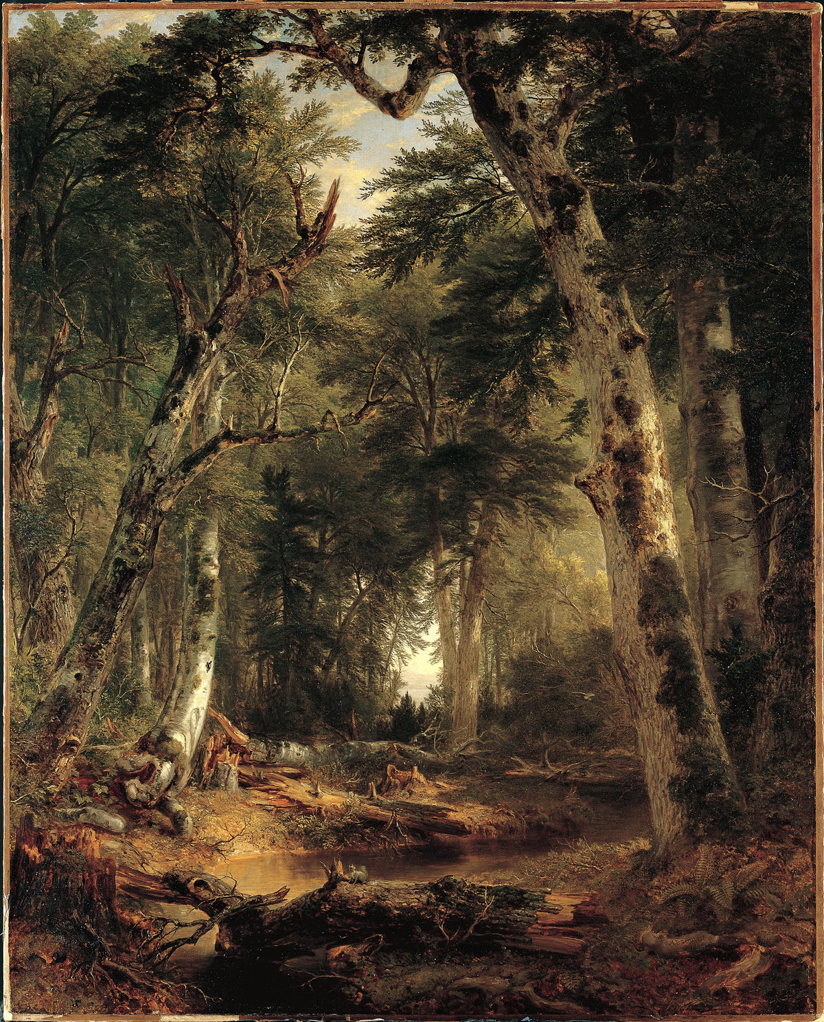 Papier peint panoramique Au cœur des bois - Forêts & Feuillages