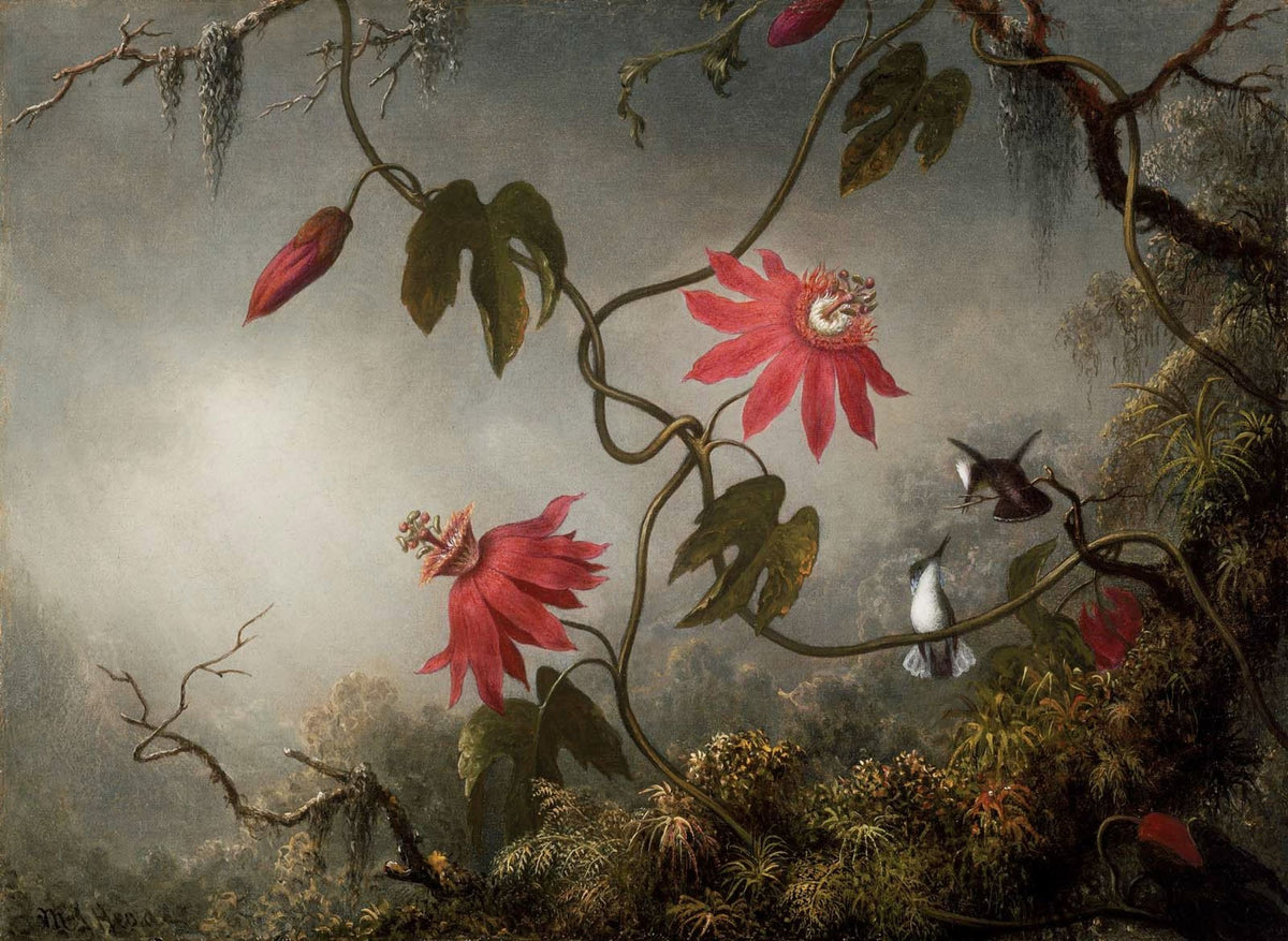 Papier peint panoramique Passiflores et colibris - Jungle & Tropical