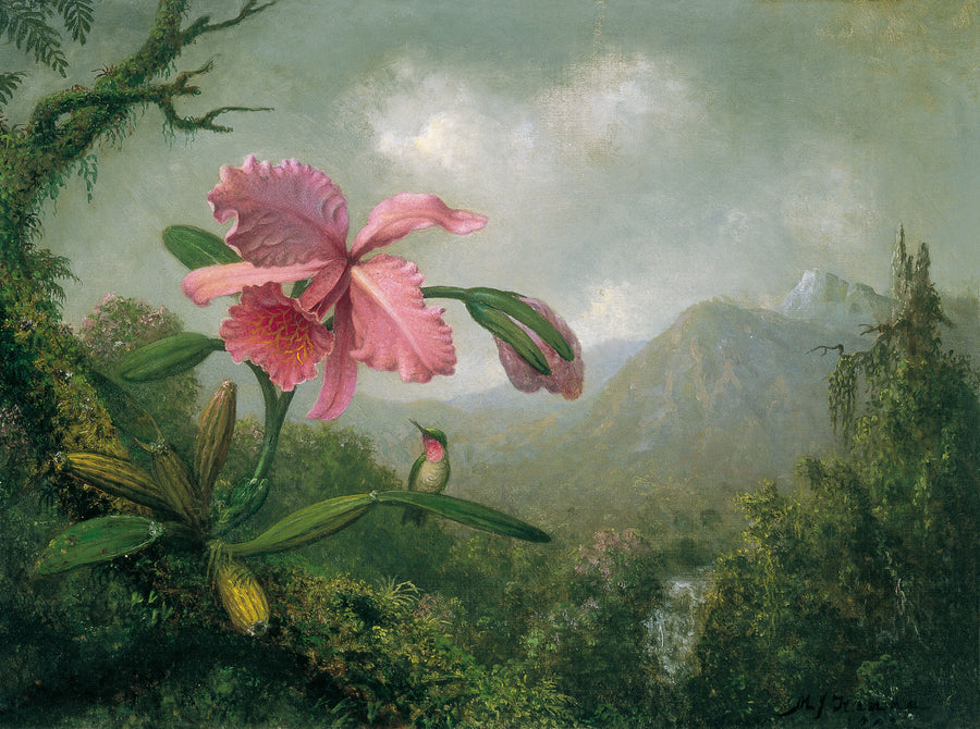 Papier peint panoramique Orchidée et colibri - Jungle & Tropical